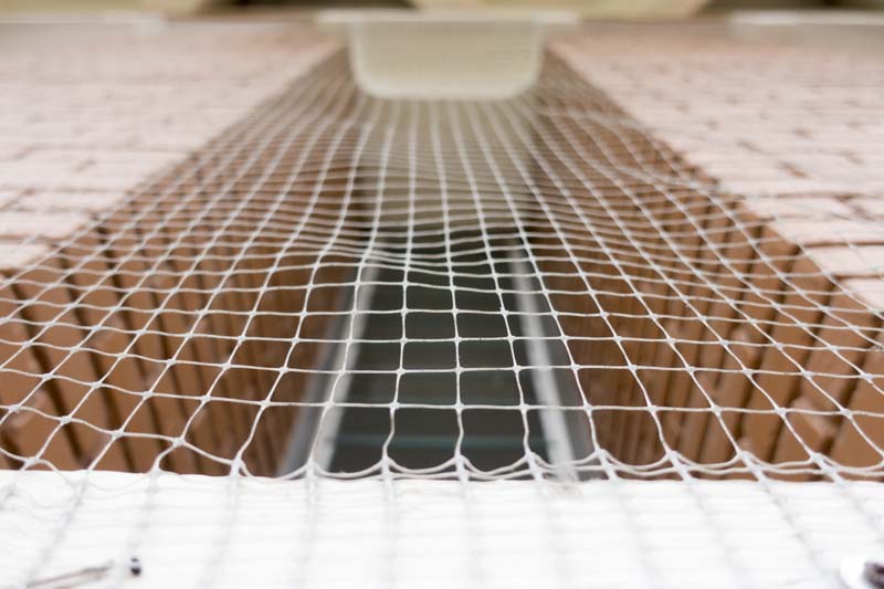 Faut-il quitter le logement pendant une dératisation ? Alès